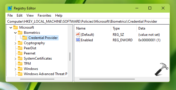 How to allow users to log on using biometrics in Windows 11