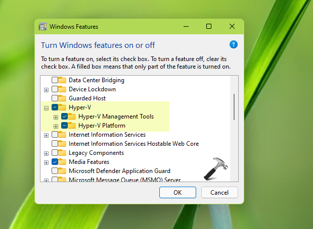 Turn windows features