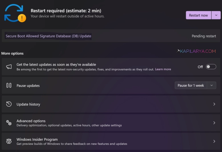 Secure Boot Allowed Signature Database (DB) Update