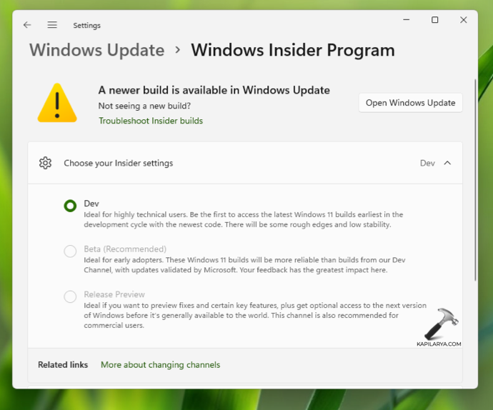 Stop receiving Insider builds in Windows 11 and switch to stable version
